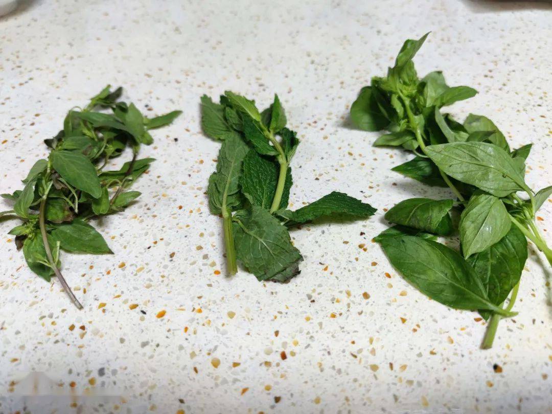 PeterTobeaelv's tweet photo. My tiny balcony now has a small herb garden! Fresh basil and mint make every home-cooked meal better. Love this little spring upgrade. https://t.co/X42ZWX1U3b