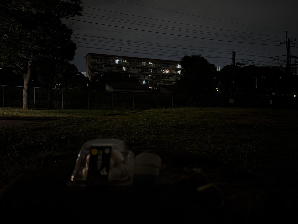 011transel's tweet photo. (•́.•̀)「せっかくおだんごかったのにおつきさま見えないね…」

わざわざ公園まできたのにね。 https://t.co/E8mgTwarml
