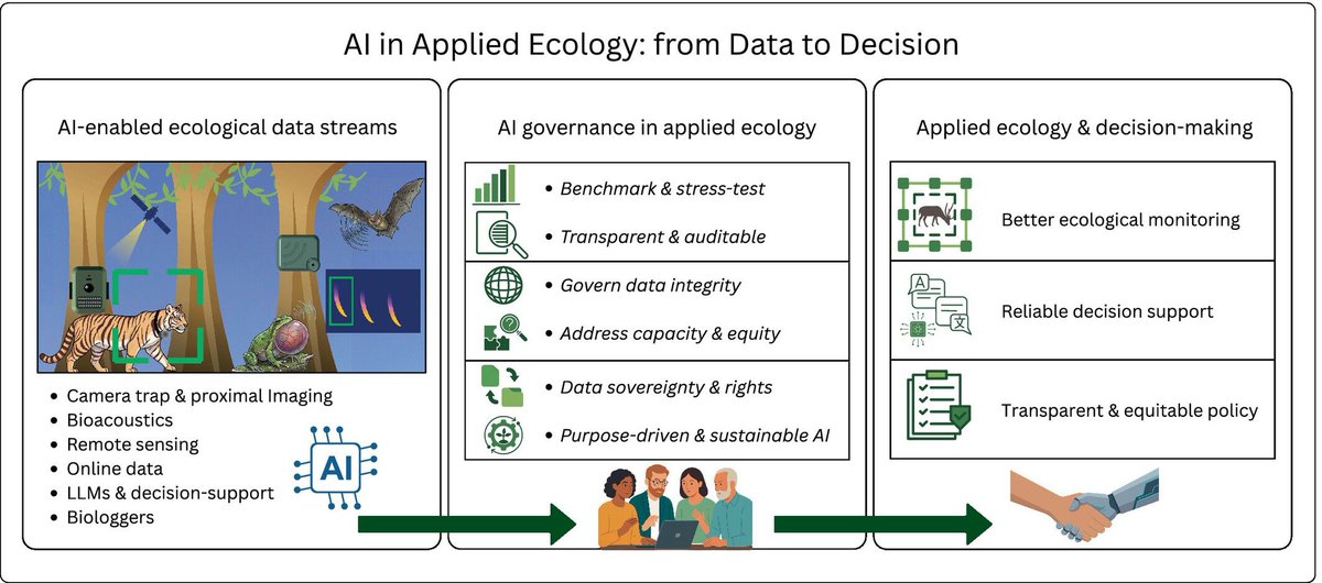 JAppliedEcology's tweet photo. This policy directions paper proposes a roadmap for responsible AI in applied ecology linking evaluation to decision context, clarifying responsibility, and ensuring AI strengthens rather than displaces accountable decision-making 🦇 🖥️ 

Read more👉️ https://t.co/F872g1DqD7 https://t.co/kkcDR2q1hn