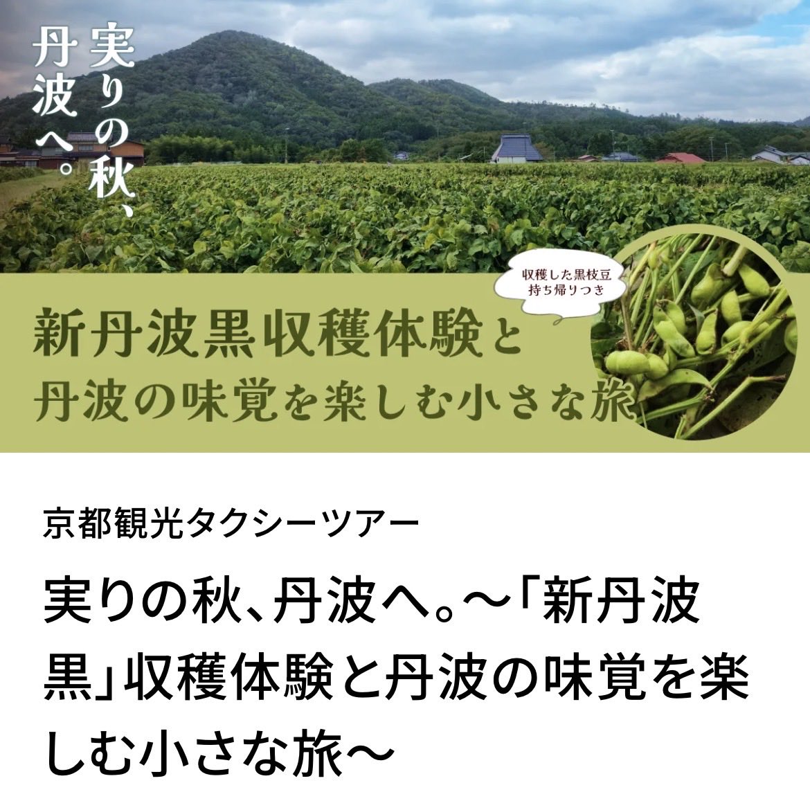 mk_ryokou's tweet photo. 諸事情により発売が遅れましたが推しツアーです🫛ご参加お待ちしています

黒豆の枝豆を押す理由（個人の見解）
↓
⏳期間限定！買えない年も…
💪大粒！食べ応え！満足感！
🟢味が濃い！甘い！中毒性！

野菜ですから
お肉や鮮魚みたく派手じゃないけど
味は間違いなく主役級です
もちろん私は＋🍺 https://t.co/XRqxmqbeqm