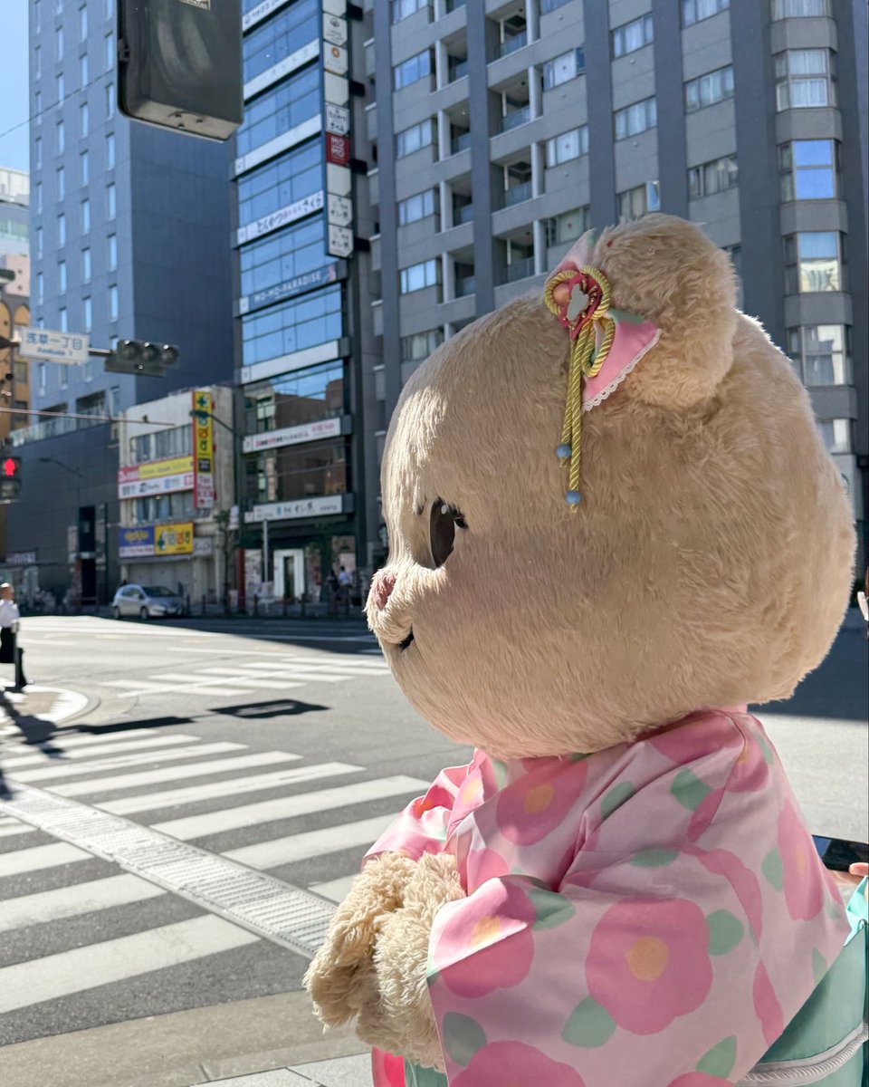 biancabearth's tweet photo. バターベアと一緒に人力車に乗って、東京の景色を楽しみました☺️💓
 どこを見ても素敵な景色ばかりで、とてもいい思い出になりました💌

#バターベア #ビアンカベア #浅草 #東京スカイツリー #Biancabear https://t.co/USa7N2mbPN