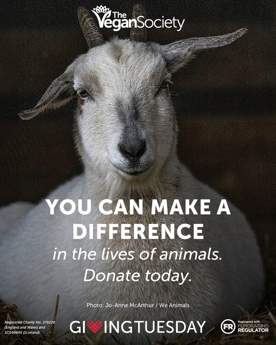 ChristenArnell's tweet photo. A simple act of kindness can transform countless lives. Your donation strengthens the vegan movement, supports vital resources, and helps protect animals. Together, we can create a kinder world for animals, people, and the planet. https://t.co/uqWef1yrHG