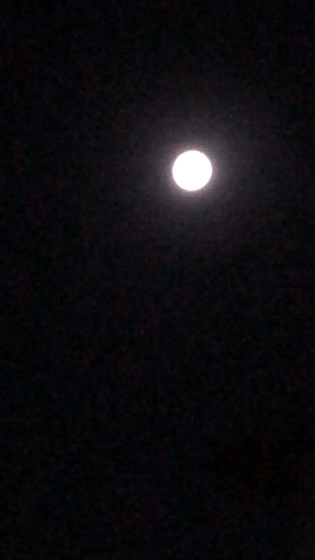 syouko223's tweet photo. ＃中秋の名月…イケて無いiPhoneで撮った雲ひとつない空と月🌕

＆＃お月見饅頭

胸焼け中💦 https://t.co/SlhGBBaBoO
