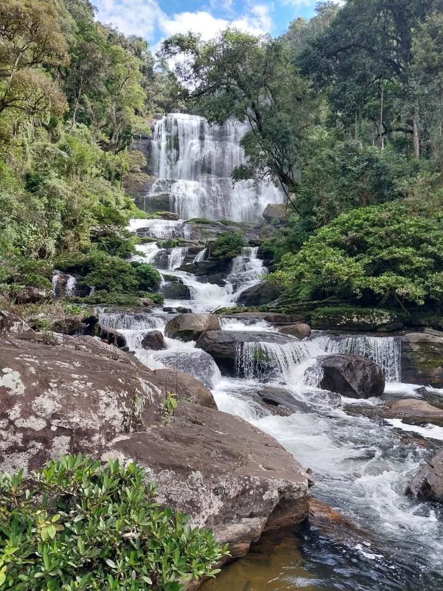 Tookooy_ran5's tweet photo. Cascade  3h de marche miala ny Ranomafana. https://t.co/4w14wYHRIb