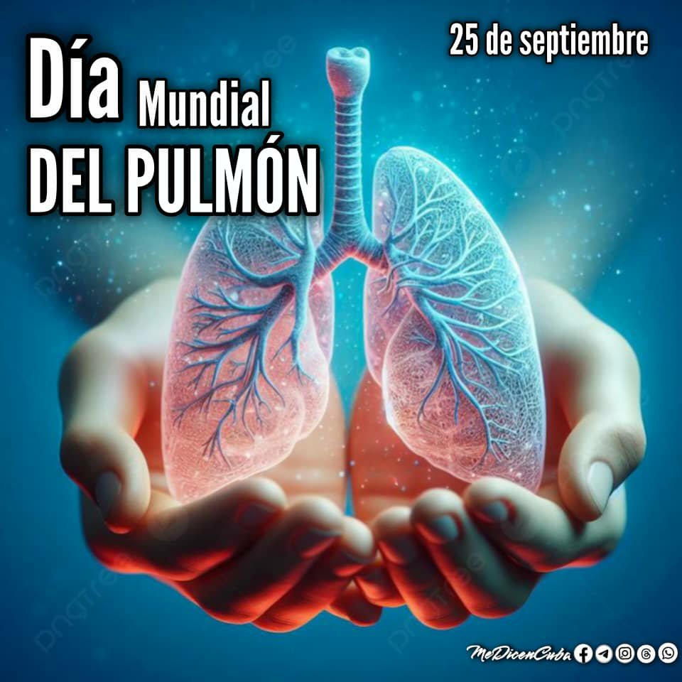 ElleRG_1959's tweet photo. ✍🏻| Cada 25-9 recordamos que cuidar y preservar la salud de nuestro árbol biológico 🫁 es VIDA. 

🌳💚🩺¡Cuba por la vida y la salud! 👋💚

#CubaPorLaVida 🇨🇺 #CubaSalva 
📎Sigue @ElleRG_1959 https://t.co/jyZ2EmfSVH