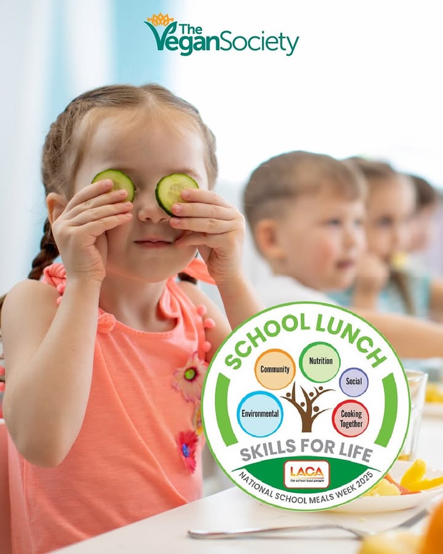 ChristenArnell's tweet photo. National School Meals Week celebrated “Eat Well” and “Let’s Get Cooking, ” inspiring schools to explore nutritious dishes and involve learners in food preparation. Could plant-based mains become the default for healthier, more inclusive meals? https://t.co/corHsGnsqg