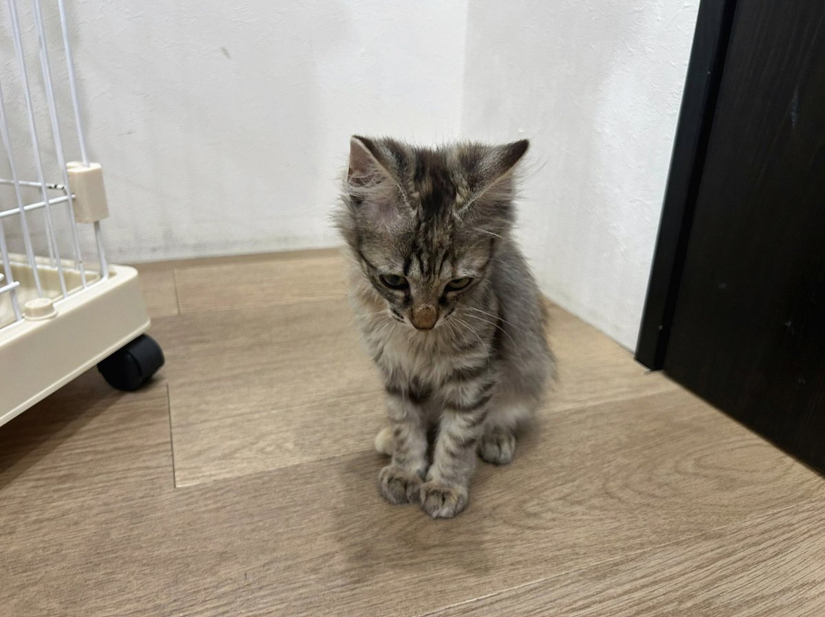 teyntwt's tweet photo. 友達の結婚式みんな当日の朝到着すると思ってたけどみんな割と前日入り発覚したし向こうで遊ぶ予定出来たの神 https://t.co/hBNhIfVkKq