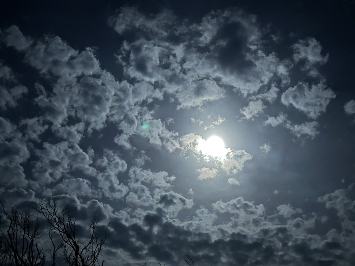 AgentBasil's tweet photo. Eerie moon tonight https://t.co/n34SGBdiZq