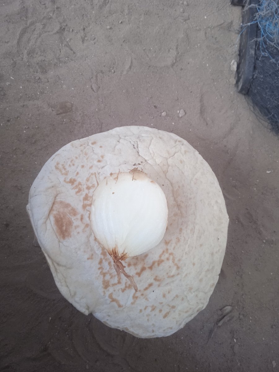 altlwly34339's tweet photo. I'm crying today. 💔 My little brothers haven't eaten since morning, and they have no medicine. I post every day, but nothing changes.

Please, 5 people, donate just $5 each to help feed them and get their medicine. Please don't leave us alone. 🙏https://t.co/PKc5csnVo9 https://t.co/E14cWQh1t6