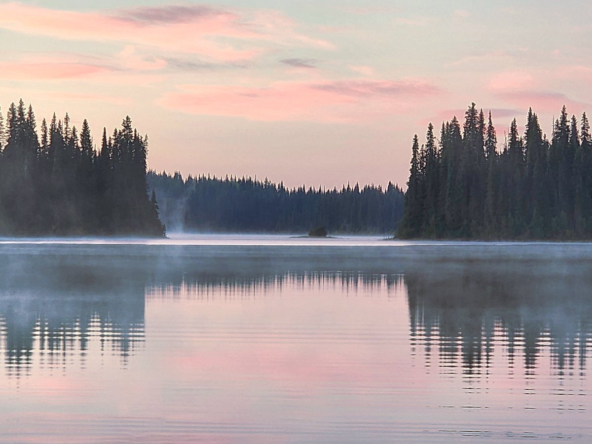 Dave37530840210's tweet photo. silent beginnings https://t.co/rbitCBoibx