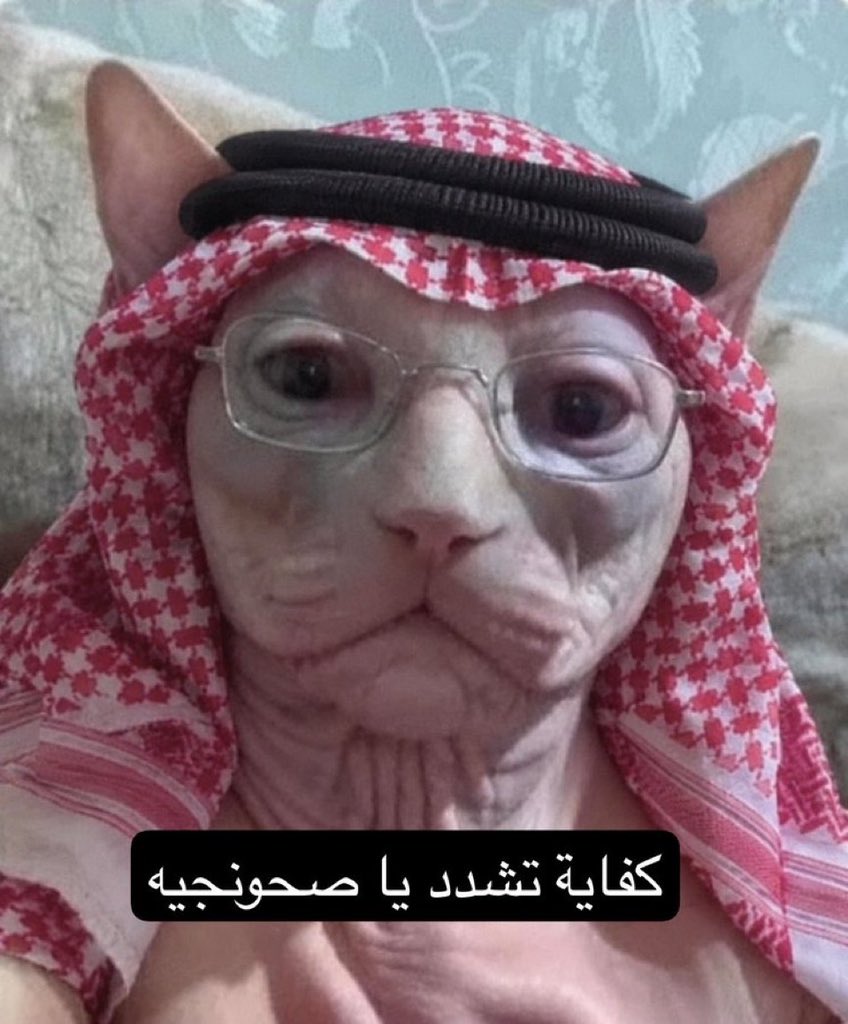 badr0pq's tweet photo. @Nab3hx @R0_foid بدينا https://t.co/lVLqxcmmpC