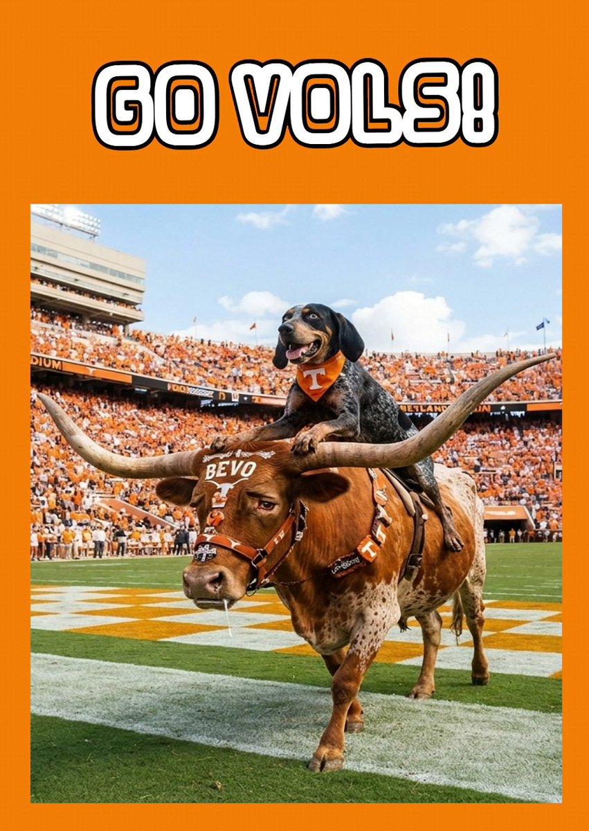 RealEstAnnMarie's tweet photo. Vols, take the bull by the horns and win this one! #gobigorange #theOriginalUT https://t.co/niJQLcQYsP