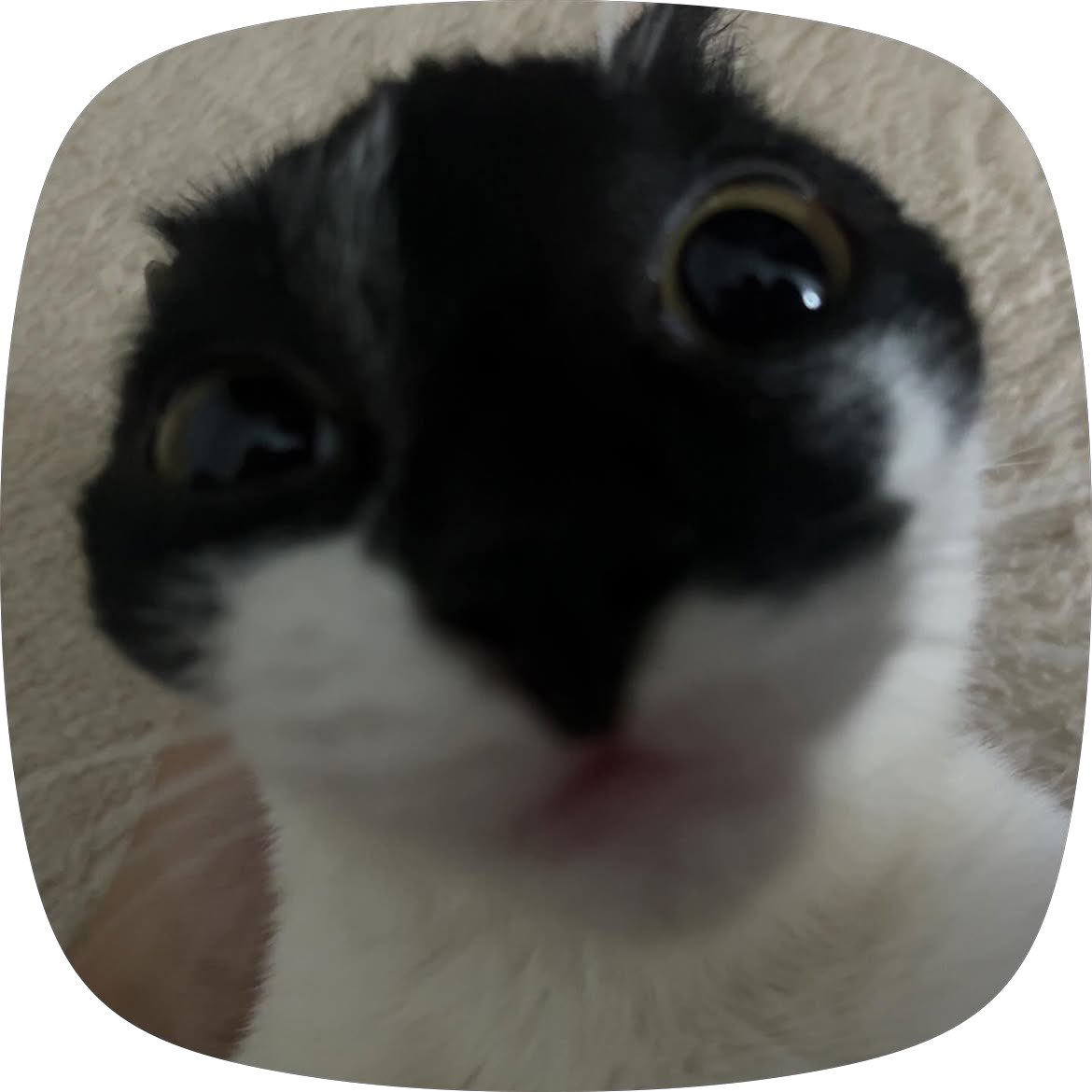 nxsiivv's tweet photo. https://t.co/CdfiJUHxbb