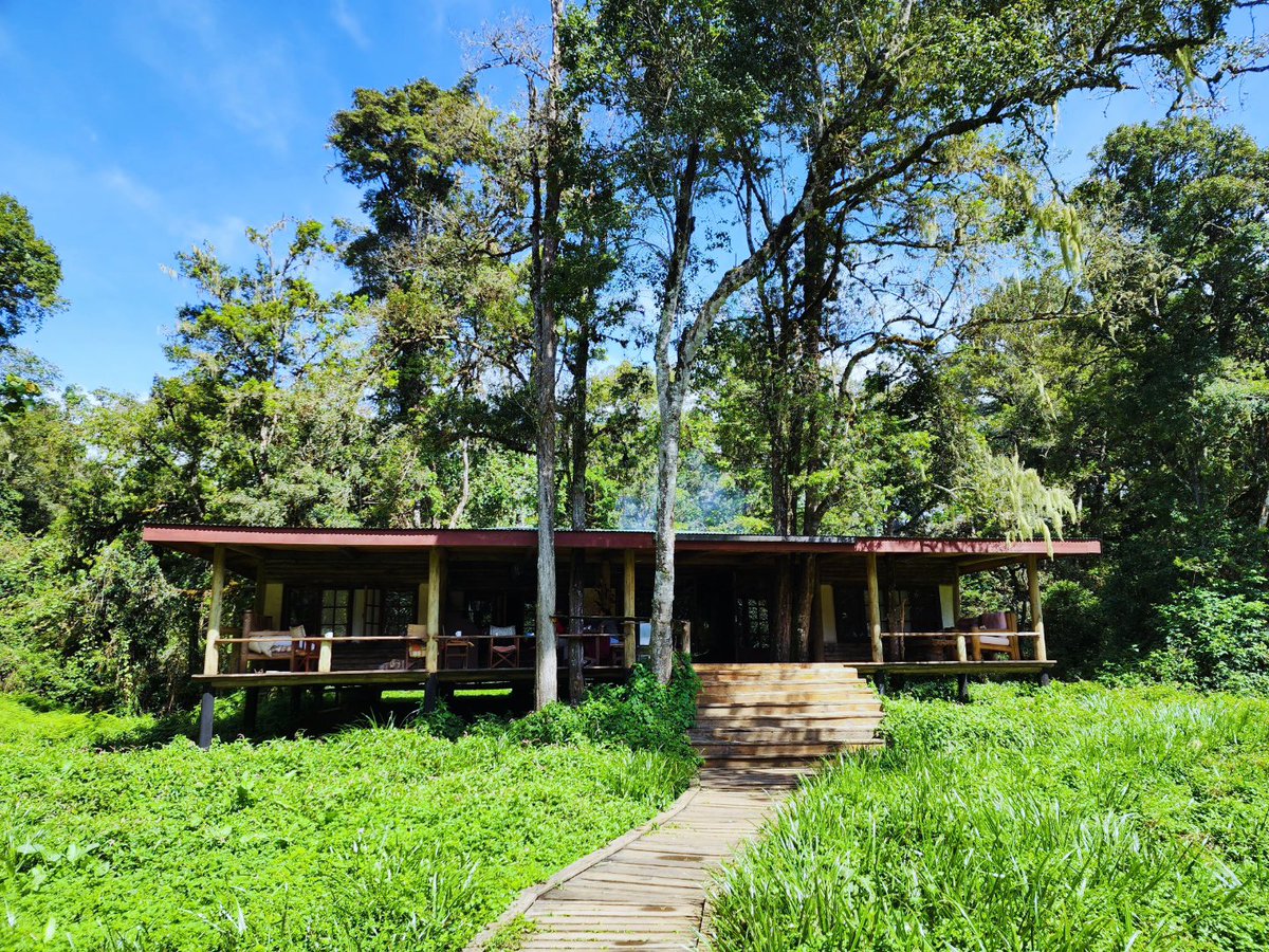 dgichuru's tweet photo. This is Ndongoro Log Cabin, tucked away inside Ragati Conservancy on the southern slopes of Mount Kenya. There’s no electricity, Wi-Fi or phone signal. Just solar lamps, a wood fire and the kind of quiet you don’t realise you’ve been missing. #zurunagichuru https://t.co/JKElKe52HD