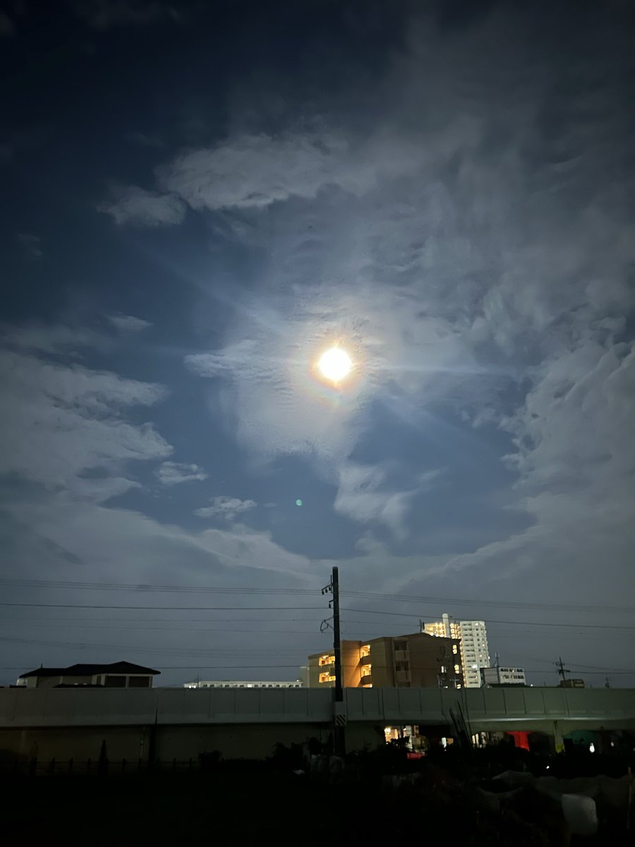 IdSakuya's tweet photo. 中秋の月🌕と部屋に飾った
ススキ入りの花束
#中秋の名月
#2026年 https://t.co/jD66ovFPmp