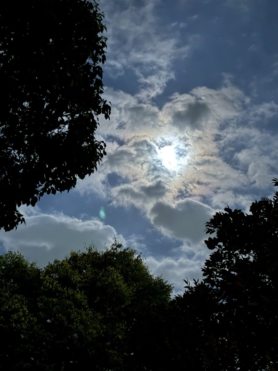 twigrasso's tweet photo. 我が家のお月見🎑

よかった！！！
月が顔を出してくれた☁️🌕☁️ https://t.co/3CTBfkgqPY