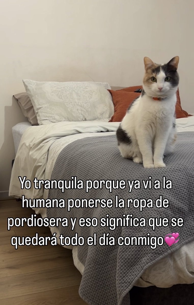 pinupseniorgirl's tweet photo. ¡¡ 😂😂😂😂😂😂😂😂😂❤️ https://t.co/KLJBksi91U
