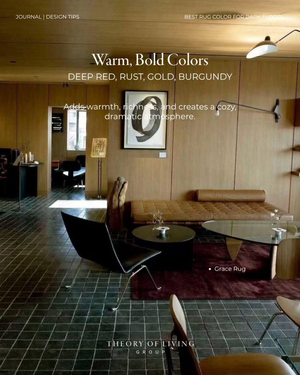 RoxyLuciusva's tweet photo. Dark floors? These rug colors create the perfect balance and contrast. Save this guide for your next rug shopping trip and discover the ideal match for your space. https://t.co/idCIlCPeID
