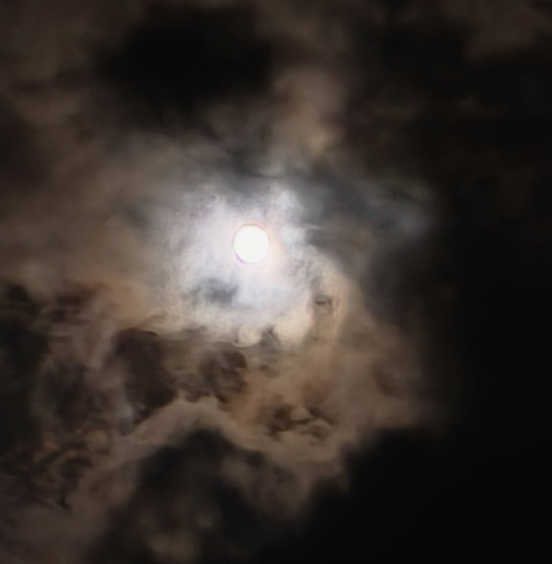 _sachiring_'s tweet photo. さっきまで土砂降りだったから諦めてたけど、空を見あげたら雲の隙間にお月様が見え隠れ🌕🌾

 #中秋の名月#原村 https://t.co/KXWHWMtn9H