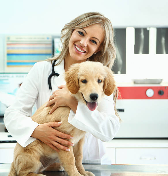 AugerCora3ili's tweet photo. 猫湖畔🏞️🐱 https://t.co/ydCfKObtQP