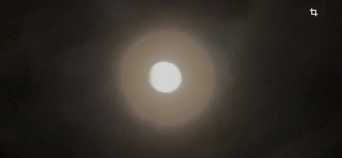 atelierrinrin's tweet photo. 中秋の名月today🌕　満月は日曜日、満月と2日ずれるのは次は2043年らしい　月嵩がすご�� https://t.co/9LzI7t3lFS