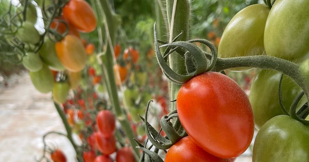 FPJlive's tweet photo. Delassus embraces sustainable vision https://t.co/3chTsxNaie https://t.co/LUHrqvgDCF