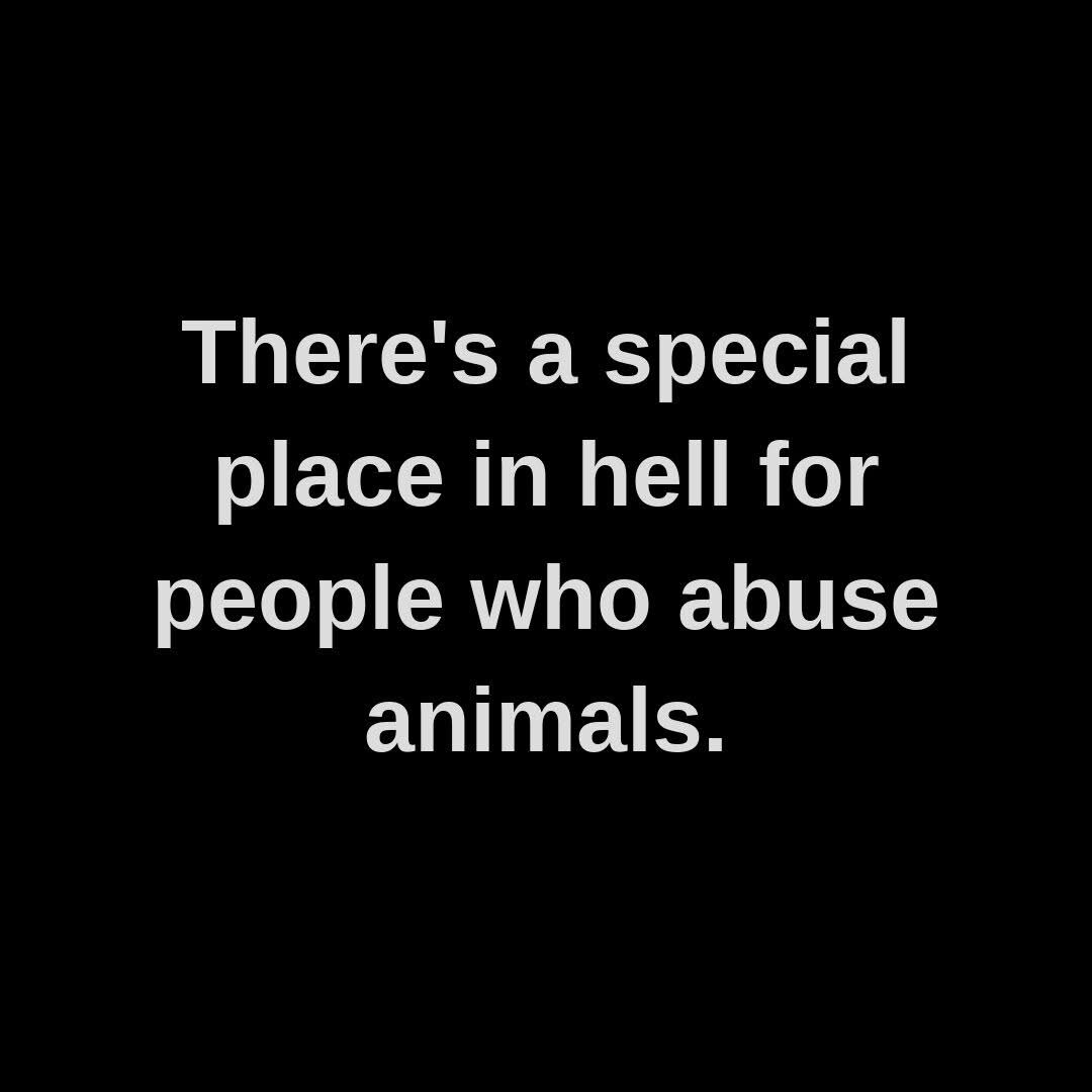 Dog__Dog0's tweet photo. https://t.co/nVPmIaE5Ew