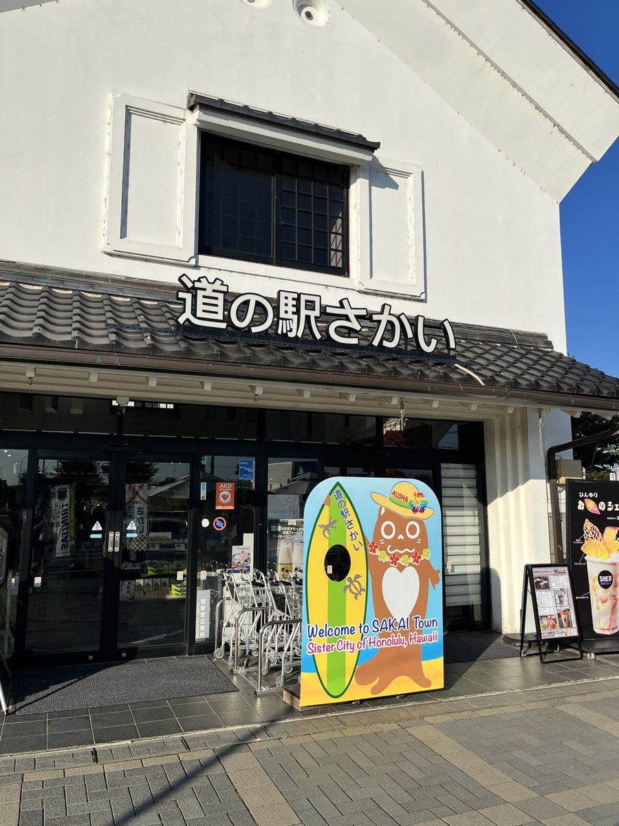 dynam_e_chan's tweet photo. 道の駅さかいで究極のメロンパン発見🍈

これは買わざるを得ない……

さらにメロンクリームソーダも🤤✨

#ダイナム https://t.co/AvgD7YVLxw