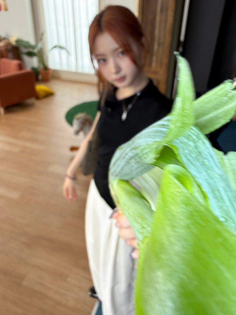 We_KiiiKiii's tweet photo. [📸]
가족끼리 싸우지들 마시고 즐거운 연휴 보내세요^^~….

#KiiiKiii #키키
#JIYU #지유 #KYA #키야
#키키팡팡 https://t.co/xJR7ysnJfx