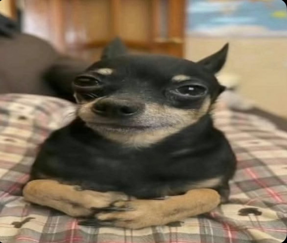 JoeKeerybur's tweet photo. Ts how I look deciding between two different fanfics of the same character/person https://t.co/7LyRqOzmIQ