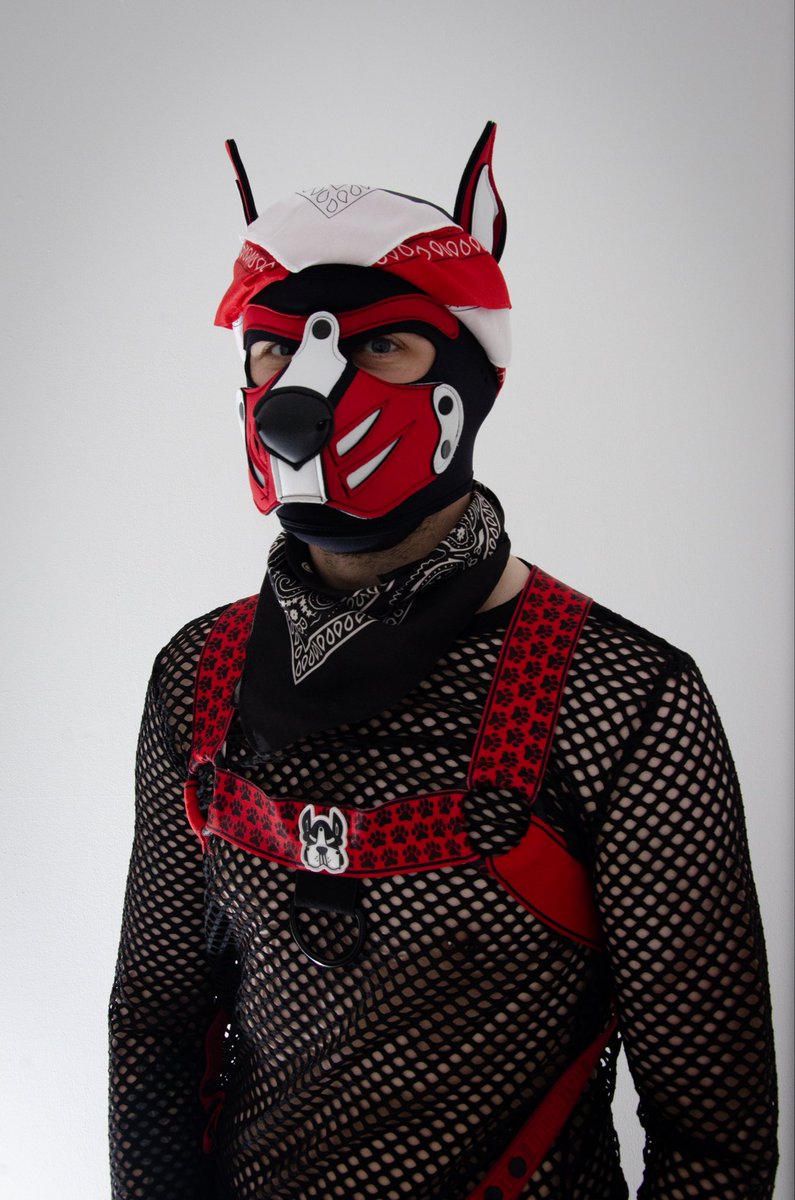 SubPupComet's tweet photo. Good boys go wruff! 🐶 https://t.co/NrDQtNslEz