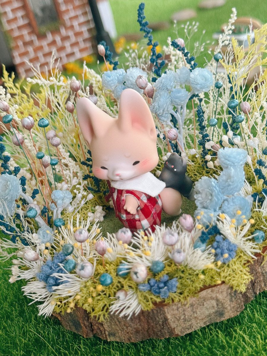 mirukudayz's tweet photo. はいすけくん可愛すぎ😭😭😭😭🧡

#kumukuku #쿠무쿠쿠 https://t.co/92fKGpndaJ