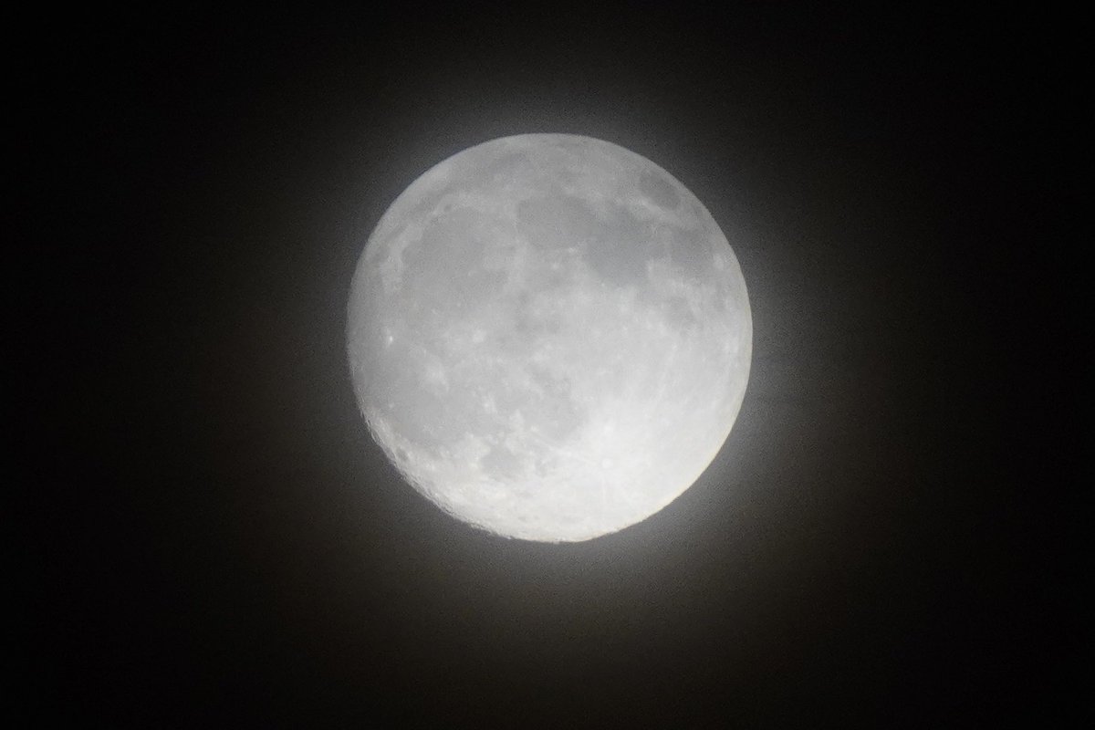 02_Zuckey_15's tweet photo. ふんわりな
中秋の名月🌕

いまのレンズに変えて
初めての月の撮影📸🥰✨ https://t.co/pw3qLTZKt2