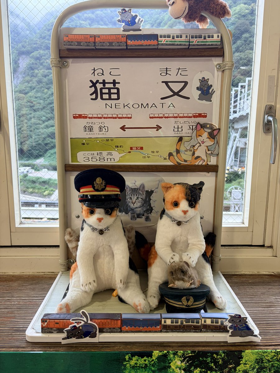 chiii1411's tweet photo. 日本で唯一、駅名に「猫」がつく、猫好きの聖地みたいな駅に行ってきた😺
この駅で降りれるのは9/30まで！
可愛い猫ちゃんたちがお出迎え😺

#猫又駅 
#黒部峡谷鉄道 https://t.co/lukSbyrH2a