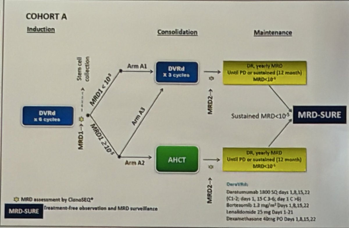 Hamza Hashmi (@hhashmi87) — #IMS26 — conference slide