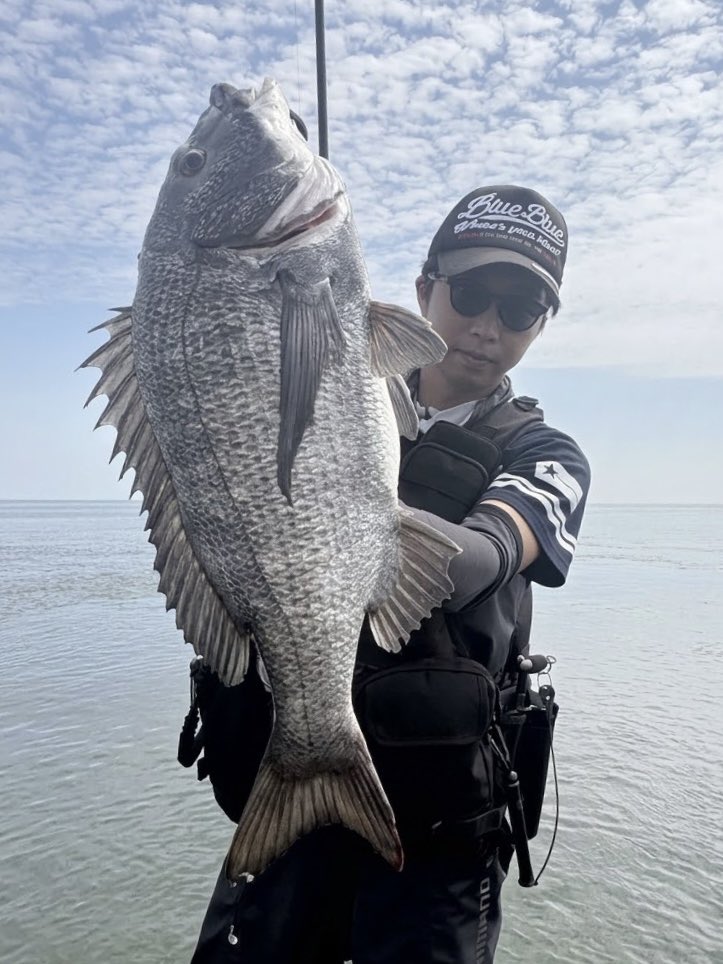sho_angler_'s tweet photo. 有明海🌊

デカチヌとチーバス！
まだまだバイブレーションの時期でした🫡 https://t.co/v1al3asb9A