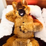 Photo by Lenny the Shepdoggo🐾 (@SDoggo97)