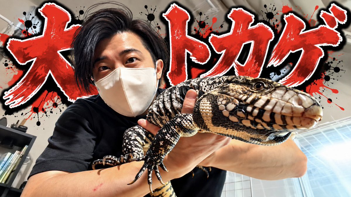 aririn_leopa's tweet photo. ▼YouTube更新

油断すると危ない！うちのオオトカゲはこんな感じ
https://t.co/PFJtHPSAUX https://t.co/gqRm25HSgE