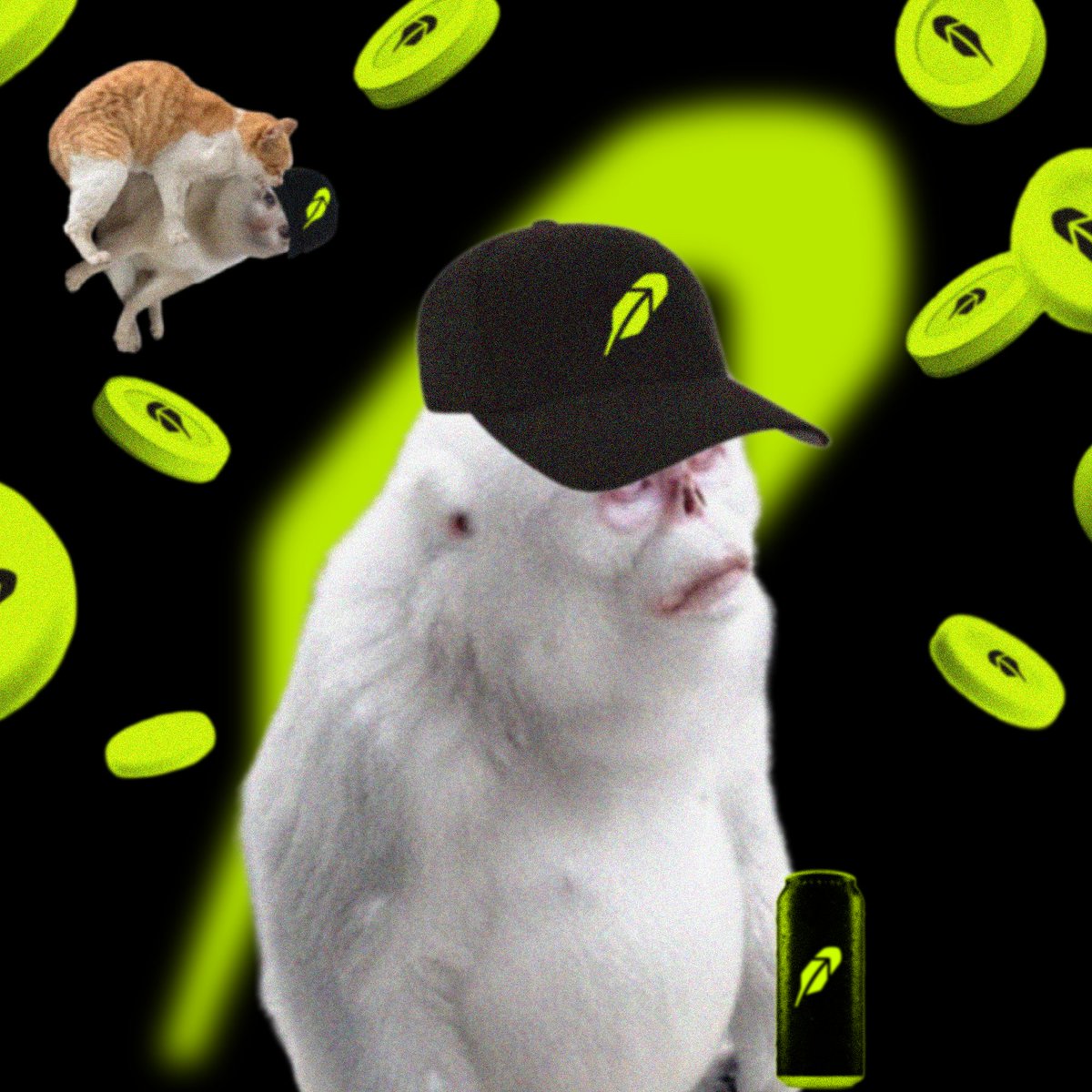 CashSnubs's tweet photo. Cash Snubs are coming September 25th at 16:00 UTC
6000 cash snubs. cash talks. snubs dont.

free mint for whitelist.

think you've got what it takes to adopt a cash snubs?
reply with your wallet for a chance to get one. https://t.co/R3VPGA6Gpe