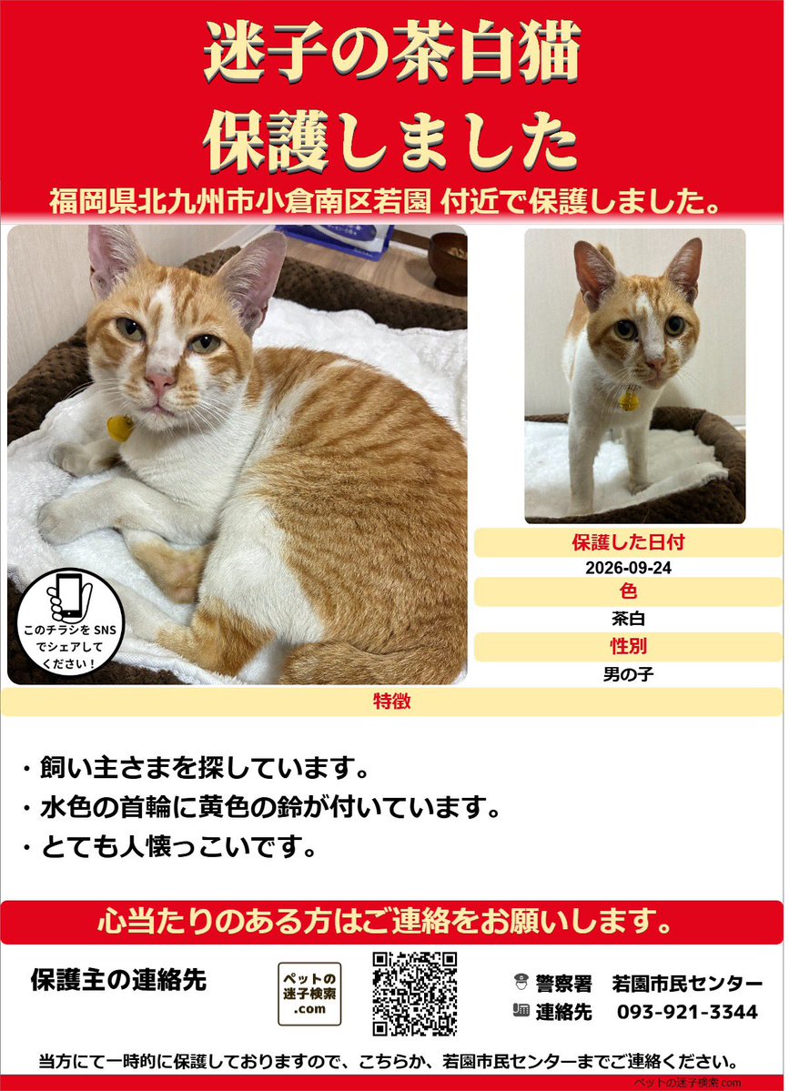 machamachoko's tweet photo. 本日貼り紙を周辺に5枚程貼り付けました
飼い主さま気づいて〜〜 https://t.co/X8bw1S8zDI