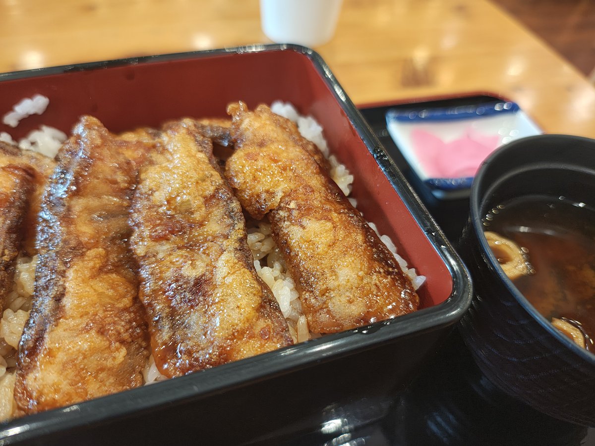 yamady_spn's tweet photo. 久しぶりに1日使った思いついた場所ワンデイツーリング @東三河 in 愛知
2ダム1滝1馬防柵、1チョウザメ🦈🦈
跳満ツーリングです対ありでした😌
チョウザメ養殖してる豊根村では人口よりサメの方が多いらしい…値段は貼るけどチョウザメのお重は一度は食べて見てほしいうまいの！んで今日楽しかったの！ https://t.co/Opi48HS2JK