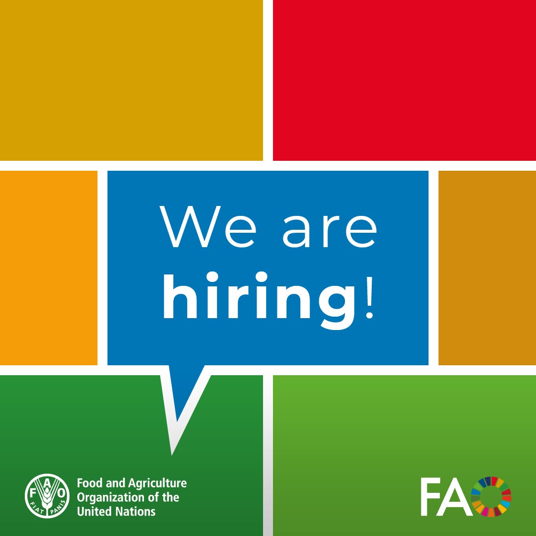 FAOKyrgyzstan's tweet photo. 🔉Check out this currently open vacancy at FAO Kyrgyzstan.   

🔽Apply, share, repost and like!  

Driver  
Location: Kyrgyzstan, Bishkek 
Closure Date: 8 October 2026   

👉 Apply: https://t.co/3umbtMVwOU https://t.co/aihMpRf5Mo