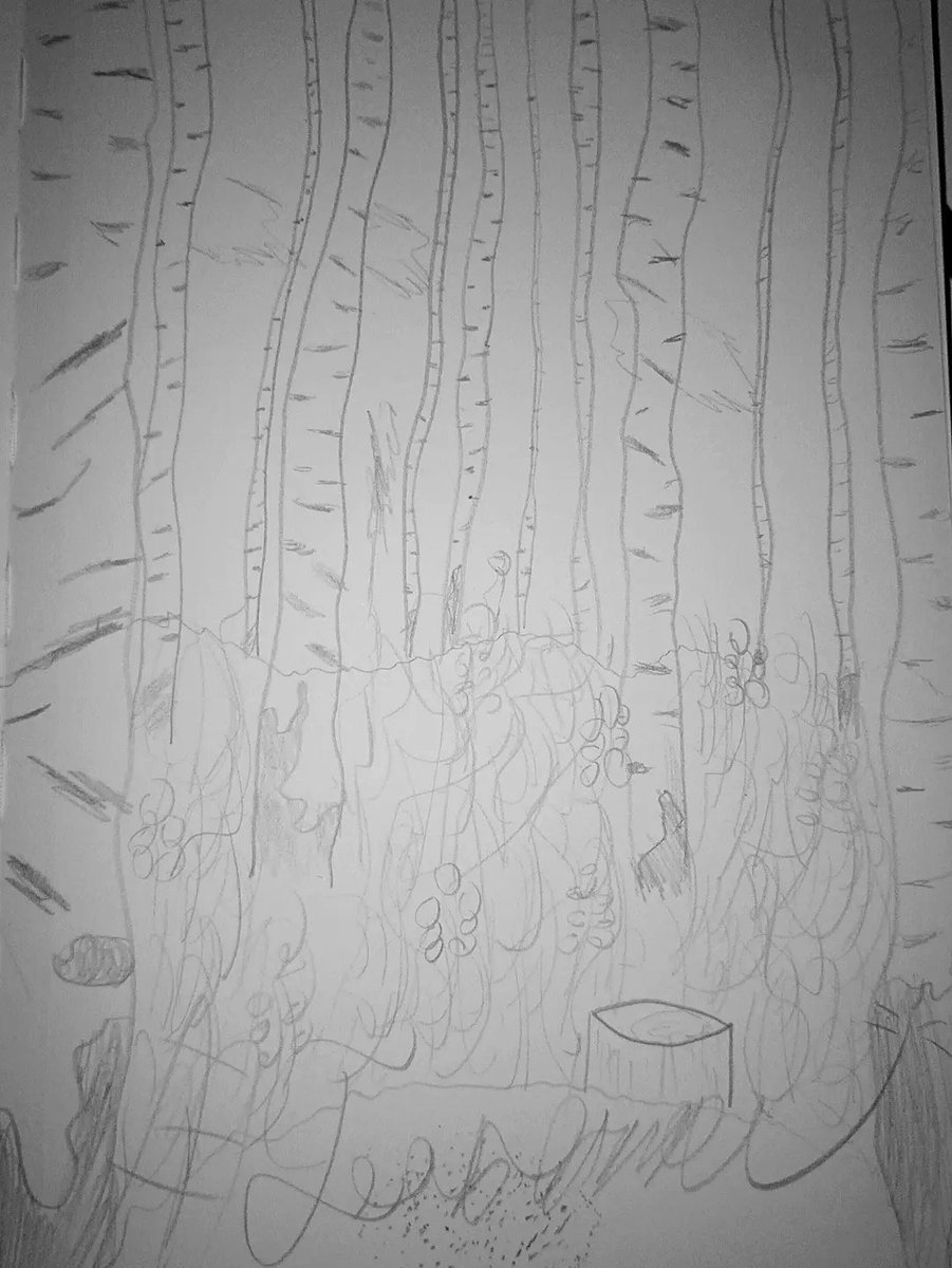 EstelleMahuna's tweet photo. Forest. https://t.co/LiKN0OvGPW