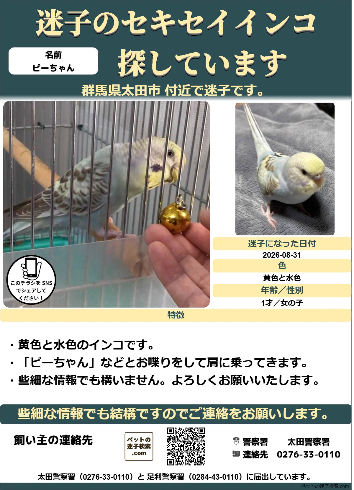 本家】ペットの迷子検索.com on X: 