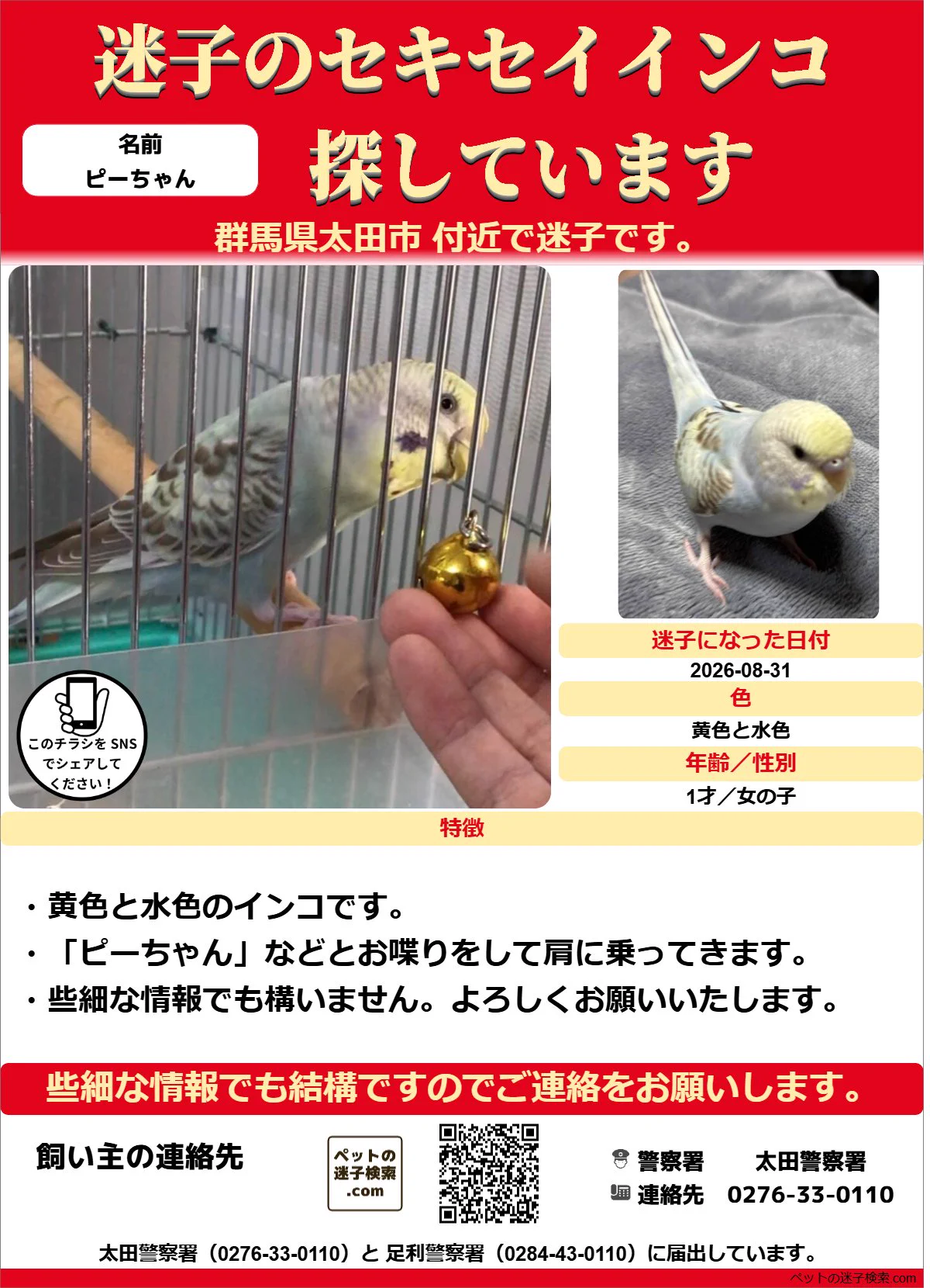 本家】ペットの迷子検索.com on X: 