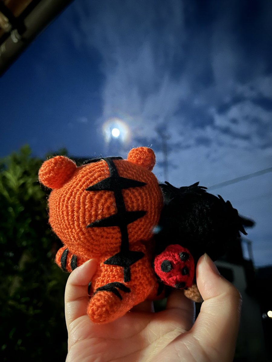 56_chiro's tweet photo. 月が綺麗だね、兄弟🌕 https://t.co/deW4v1YVu4