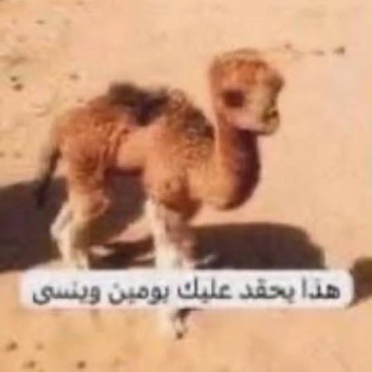 little9ii's tweet photo. زعلانة بس نسيت السبب https://t.co/WxPDP4PYFQ