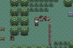 PokeFangameNews's tweet photo. Emerald Rotate is out NOW! ↩️

Vanilla Pokémon Emerald but rotated 90º to the right.

⏬️ Check it out ⏬️
https://t.co/x1g8avi80V https://t.co/G2nrLZlr09