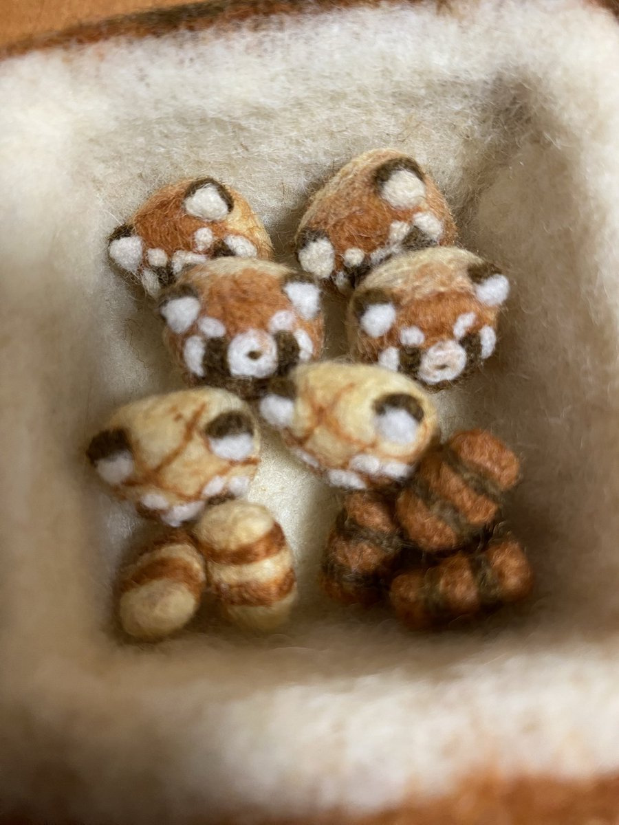 akage_panda's tweet photo. 出店予定🗓️
またチラシできたら掲載しますね😊
千葉ズーフェスタ＆グランマルシェは、レッサーパンダパン祭りしますよ〜。
ピアス、イヤリング、キーホルダー、小物入れなどを持っていく予定です。。 https://t.co/HehblPc9vV