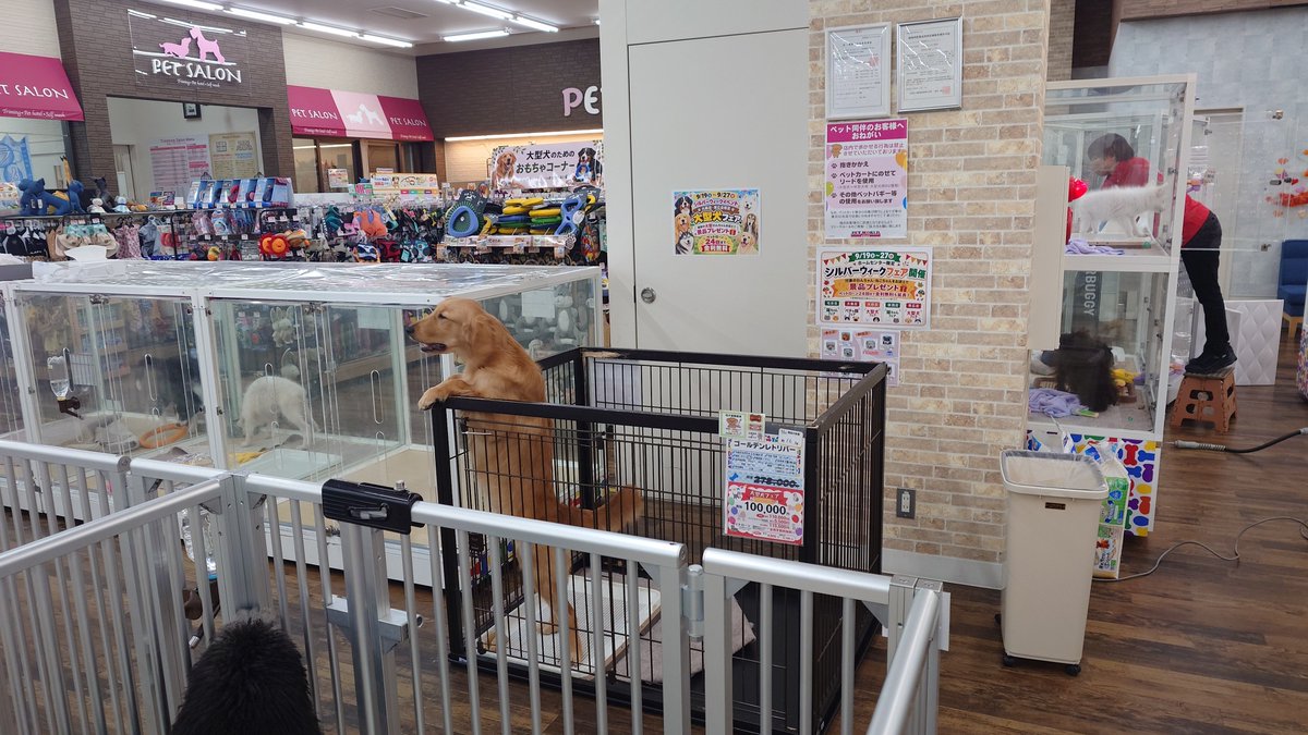 TouringHorse's tweet photo. 思わず衝動買いしそうになった。 https://t.co/5keLYNtJNz